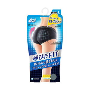 �\�t�B �ɂ҂�FIT �i�`�������t�B�b�g L �u���[�O���[