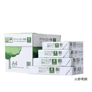 FRs[p A4 500 61-336-1-2