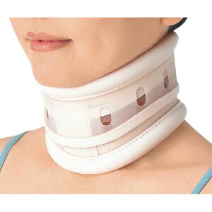 J[L[p[En[h (ŌŒpV[l) M 311212