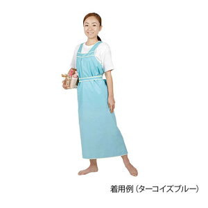 �����P�A���`�邢�G�v����II (�^�[�R�C�Y�u���[�^L) 6018 L