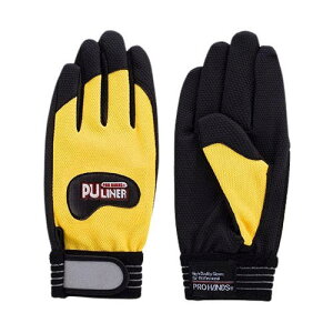 v PUCi[ At@ CG[ L 1P[X (10o) 0786