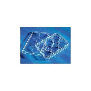 CellBIND (R) 6�E�F���v���[�g�t�^�t 1�P�[�X (5��*10�p�b�N��) 3335