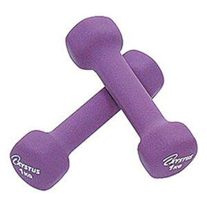 o[R[g_x 1kg 1g (2{) H-9055()