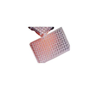 gYEFCT[ǧ^96EF 5.0}CNm|J[{lCgu 4^pbN*2pbN 3387