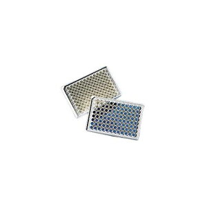 tIbZX~lbZX96EFv[gے  NBS ŋ t^Ȃ 1P[X (25*4pbN) 3605