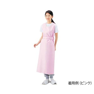 pGv (Ђ^Cv) sN^L 403306 L