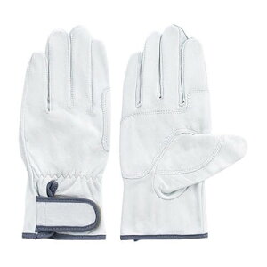 ���Y���{���� ���C���W���[�{�[�C �� LL 1�P�[�X (10�o��) 3624