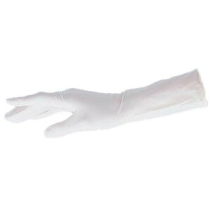 AYsAjgII (sApbN) nCObv^Cv (SʃG{X) SS 1000