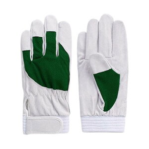 ؖ{ AX[g O[ LL 1P[X (10o) 5889