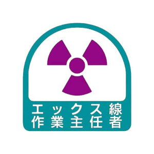 �w�����b�g�p�X�e�b�J�[ �G�b�N�X����Ǝ�C�� 851-33
