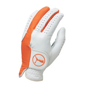 Puma golf Pro Formation Hybrid Golf Glove v[}St vtH[[VnCubhStO[u