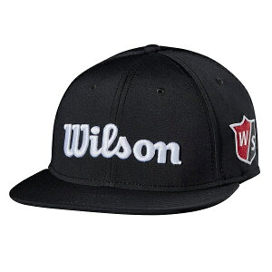 Wilson Flat Brim Cap EB\ tbg u Lbv