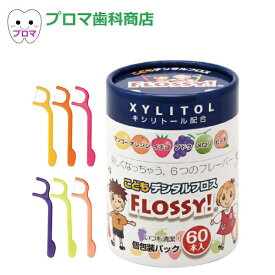 こども専用フロスFLOSSY！（フロッシー）60本入アソート（個包装）1個