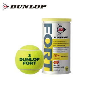 数量限定　限定　ダンロップ　硬式テニスボール　2球　フォート