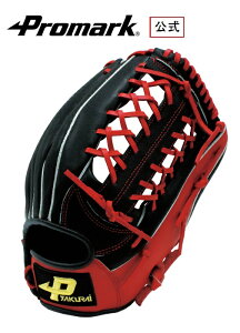 PROMARK v}[N \tg{[ O[u ʗp LTCY 12.5C` 3p TNCf (SAKURAI) PGS-3153 (N21) (\tg{[ O[u Ou ʗp I[Eh \tg{[Ou ew