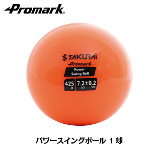 PROMARK プロマーク パワースイングボール1個入り HTB-60SP (野球 練習 ボール 重いボール パワーボール トレーニングボール 鉄粉入り) 2球セット
