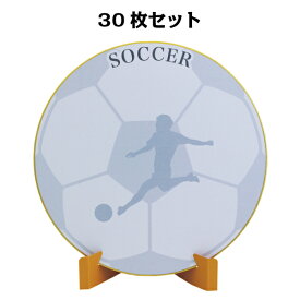 楽天市場 寄せ書き 色紙 サッカーの通販