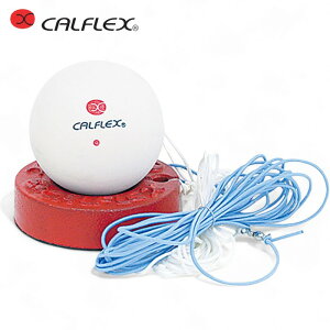 CALFLEX JtbNX JtbNX \tgejX g[i[ tt-21 (ejX {[  K SЂ \tgejX ejX{[)