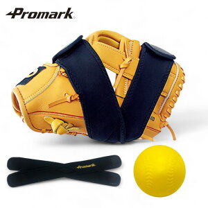 型崩れを防ぎ、型付け時にも活躍します promark プロマーク グラブ保管キット GK-10 (野球 グローブ メンテナンス用品 保型ベルト グラブケア グローブケア グラブ保管キット)