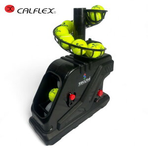 TNCf(SAKURAI)JtbNX(CALFLEX)\tgejX dejX do@ gX}V CT-040 (ejX K }V do@  \tgejX ejX ejX}V ejXg