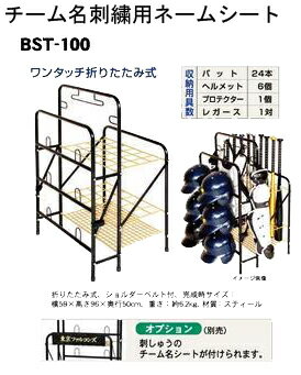 楽天市場 贈答 記念品 Promark プロマーク ベースボールギア 収納 Bst 100 チーム名シート バット スタンド ボール入れ ケース 収納 社会人 草野球 部活 少年団 野球 ソフトボール プレゼント 記念 卒業 入学 サクライ貿易 楽天市場店