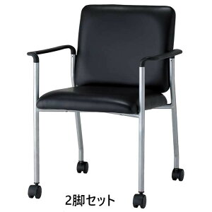������ �~�[�e�B���O�`�F�A 2�r�Z�b�g BAS-P420A W570 D563 H783 SH420