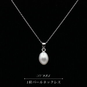 y󂠂zWp[lbNX 1 ^ Vo[925 45cmbw Ǝ  f[g ig Mtg p lC  i