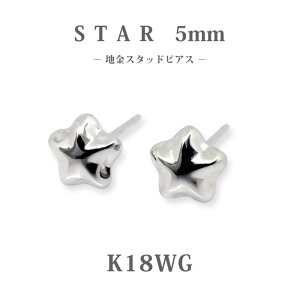 yK18WGz{ zCgS[h X^[ sAX 5mmbP̑傫ߐ^X^bhb18 nsAX