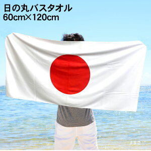 ̊ {\ ObY oX^I 炩  60cm×120cm  o[{[ TbJ[ 싅 Or[  {ObY { E T|[^[*