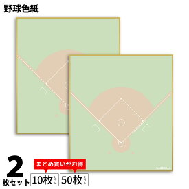 野球 色紙 2枚組 コート柄 寄せ書き 日本製 送料無料 野球グッズ 色紙 寄書き 野球 寄せ書き色紙 サイン プレゼント ギフト 手作り 送別会 卒業 卒団 卒部 部活 卒業記念品 卒団記念品 感謝 引退 コーチ 監督 退職 お祝い お礼 記念 記念品 *
