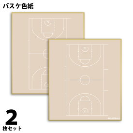 バスケ 色紙 2枚組 コート柄 日本製 送料無料 バスケットボール 色紙 寄せ書き 寄書き サイン プレゼント プチギフト 部活 送別会 卒業 卒団 卒部 卒業記念品 卒団記念品 引退 退職 お祝い 記念 記念品 バスケグッズ バスケ用品 *