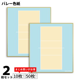 バレー 色紙 2枚組 コート柄 日本製 送料無料 バレーボール 寄せ書き 寄書き サイン デザイン プレゼント プチギフト 部活 送別会 卒業 卒団 卒部 卒業記念品 卒団記念品 引退 退職 お祝い 記念品 バレーグッズ バレー用品 *