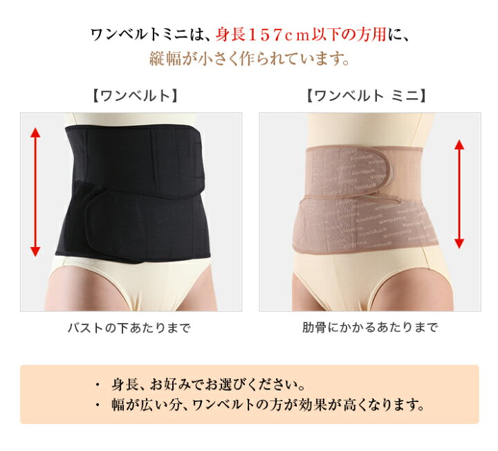 楽天市場】腰ベルト でぷにょ肉もスッキリ！ 臨床実験結果がある骨盤 