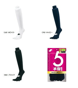 SSKiGXGXPCj@2g5{w\bNX@[YA1927F25-27cm] [YA1929F27-29cm]@ [싅/A_[\bNX]