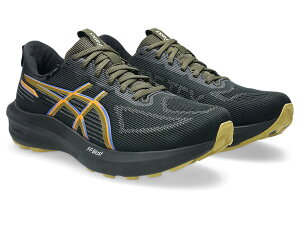 asics�i�A�V�b�N�X�j�@GT-1000 14 GTX�@�����j���O�V���[�Y�@STANDARD�@�i100�j�@1011C078