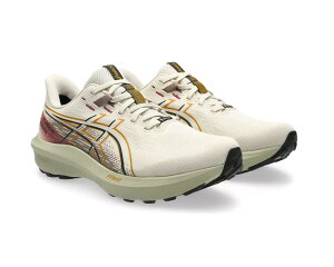 asics�i�A�V�b�N�X�j�@GT-1000 15 GTX�@�����j���O�V���[�Y�@STANDARD�@�i250�j�@1011C233