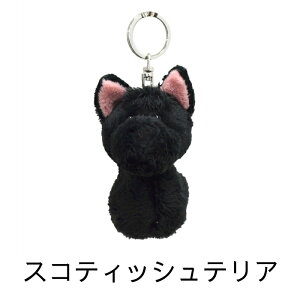 NICI jL L[z_[ ʂ nX^[ }`J tFlbN t`uhbO O[gsj[Y ` XReBbVeA CA[tHbNXeA [NV[eA