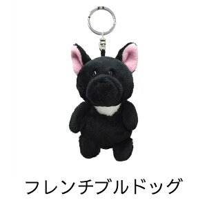 NICI jL L[z_[ ʂ nX^[ }`J tFlbN t`uhbO O[gsj[Y ` XReBbVeA CA[tHbNXeA [NV[eA