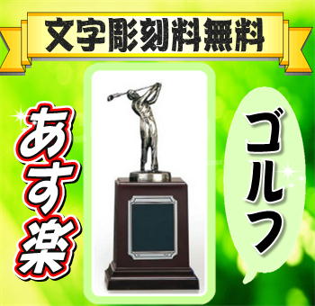 トロフィー【ブロンズ】13cmから16cm【大人気シリーズ】【送料無料】【種目豊富】★文字代無料★