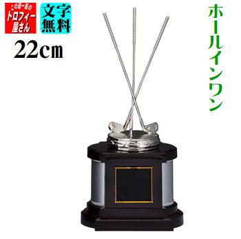 HOLEINONE(ホールインワン用)27cm【送料無料】★文字代無料★