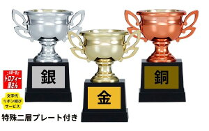 DJbvygtB[Fv[gtzij10.5cmyc@ƋLOi@z킢v[gtF㖳