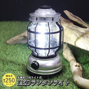 ^ Px ő250[ COBCg iK led Jrit ݂艺 u AEghA Lv ЊQ~i h dr IV CeA Mtg v[g yVs