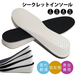 C\[ V[Nbg Y fB[X j  y g Abv ~ TCYIׂ wL r  X^CAbv 22.5cm 23cm 24cm 25cm 26cm 27cm gAbv Xj[J[ u[c 