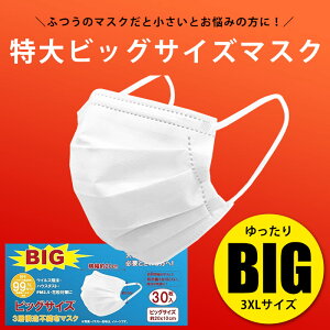 3XL }XN 傫TCY sDz  rbOTCY}XN  傫}XN n  jp Y l 傫 rbO}XN LL 3Zbg }XN Mtg v[g yVs