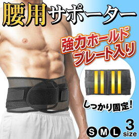 腰用 メッシュサポーター メール便送料無料 クロスベルト コルセット 腰痛ベルト プレート入 伸縮式 腰痛対策 健康 姿勢矯正 トレーニング ヘルスケア 男性 女性 子ども 大人 メンズ レディース 婦人 紳士 矯正グッズ ギフト プレゼント 楽天市場