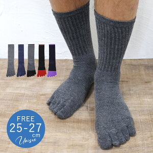 ܖ{w\bNX Y Rbg C  amp 25cm 26cm 27cm t[TCY jp n c[g oCJ[ IV 5{w\bNX I[V[Y t  H ~ Mtg v[g y