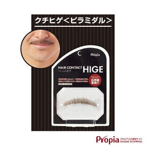 Ђ vsA HAIRCONTACT HIGE N`qQs~_ CgubN E RXv