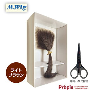 ynT~Zbg LTCY CguEz ~`Eя B EBbO ×p vsA wAR^NgfBJ LTCY