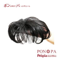 部分ウィッグ 頭頂部 つむじ 人毛100% トップピース PON-PA ポンパ