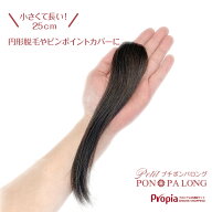 部分ウィッグ 人毛100% 円形脱毛症 総手植え ポイントウィッグ つむじ トップのボリューム Petit PON-PA …